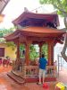 lau-luc-giac-go-lim-diem-nhan-cho-san-vuon-thuong-tra - ảnh nhỏ 4