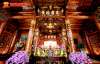 nha-5-gian-go-go-do-pachy-dan-phuong-ha-noi - ảnh nhỏ 3